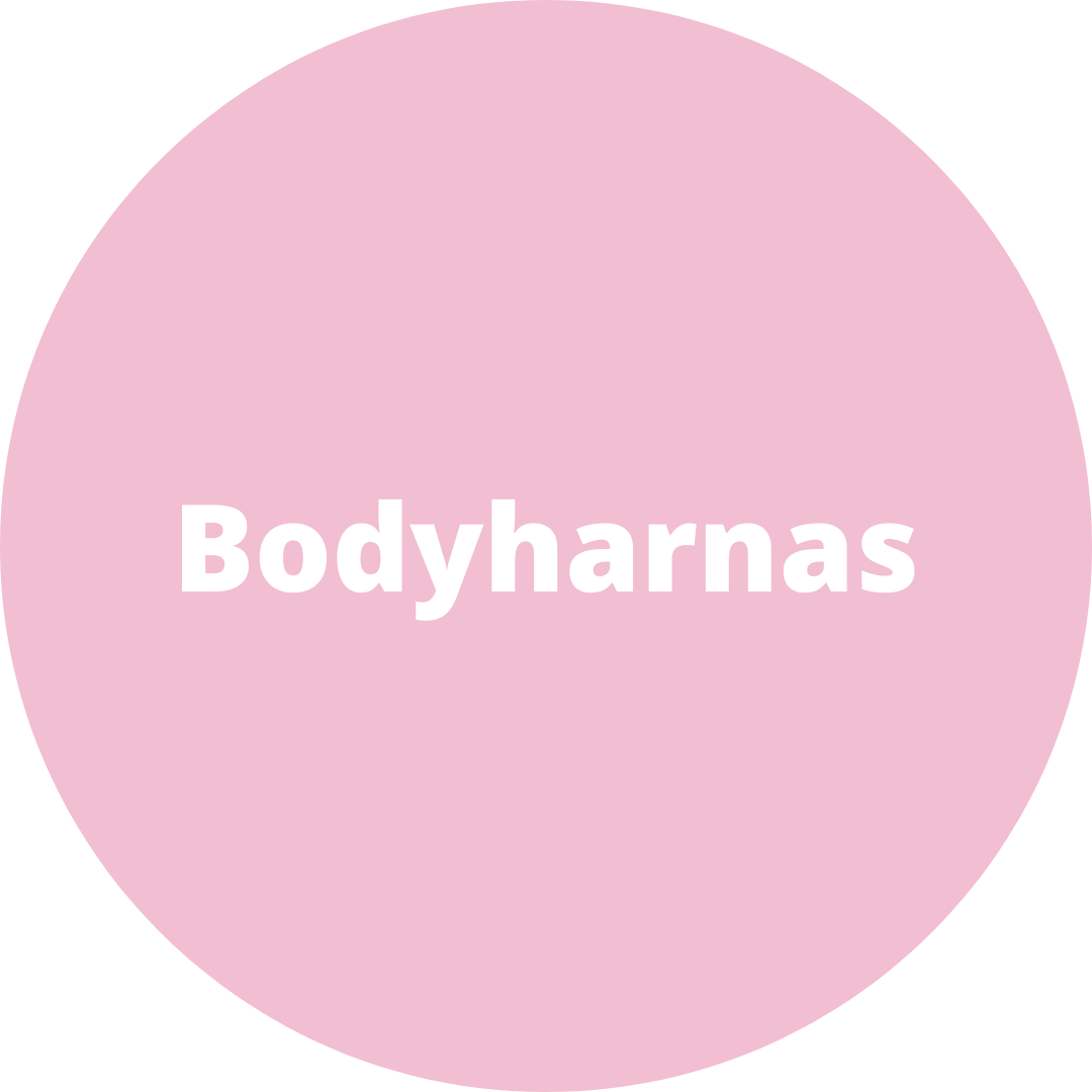 Bodyharnas