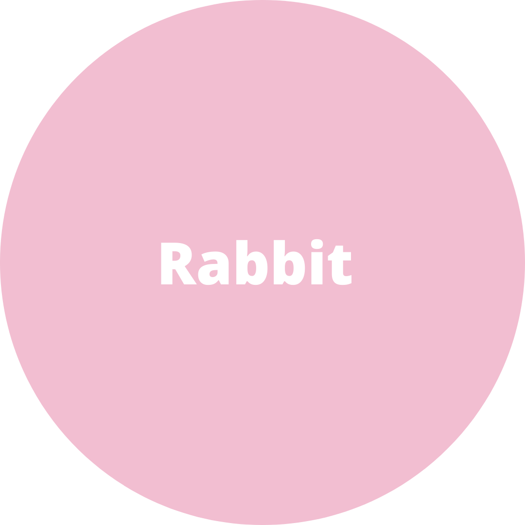 Rabbit