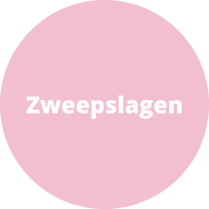 Zweepslagen