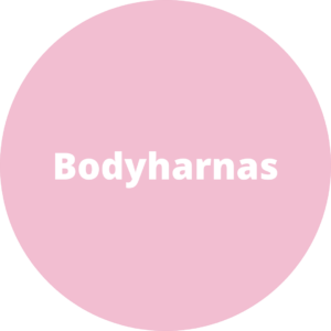 Bodyharnas
