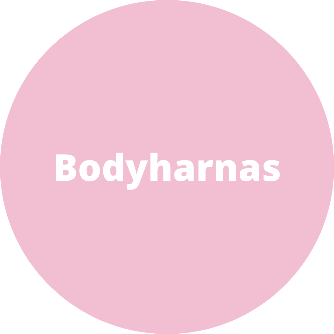 Bodyharnas