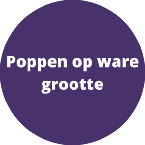 Poppen op ware grootte