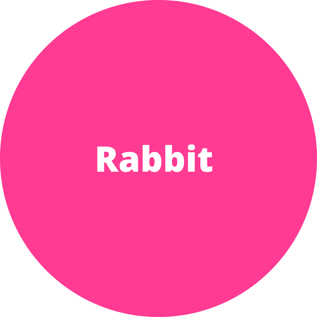 Rabbit