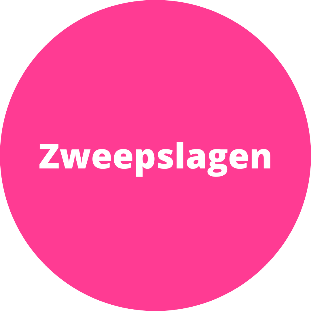 Zweepslagen